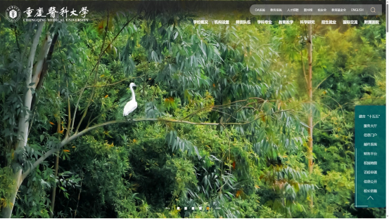 1761531682532053.png image.png